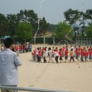 도산초교 이미지