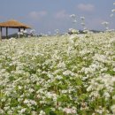 밀물농장 이미지