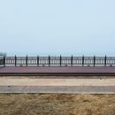 솔밭해안가펜션 이미지