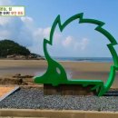 위도 깊은금 핀란드 민박 | 생방송투데이 부안위도 모듬회, 미니해금강선상투어펜션, 위도선상낚시펜션, 마을버스 알아보기