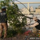 제우피스빌딩 이미지