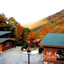 좌구산휴양랜드 이미지