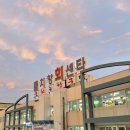 물치항횟집