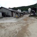 소태면사무소 이미지