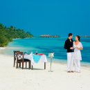 네트웍여행사㈜ 이미지