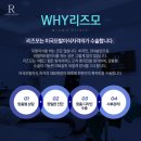 리즈모의원 네이버블로그