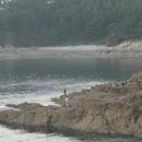 막골통나무펜션 이미지