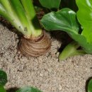 정화슈퍼 이미지