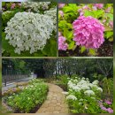 켈스러닝 | 신작 영화 &lt;28년 후&gt; CGV 성신여대입구 (분노백신 만원티켓) 관람후기 및 주차정보