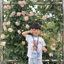 🌹하랑반의 울산대공원 장미축제🌷 이미지