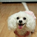 스킨앤뷰티 이미지