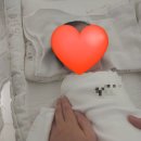 손산부인과의원 | [임신출산일기] *36주차~출산* 평택라움산부인과 제왕절개 후기(5박 6일)