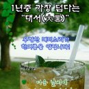 일년중 제일 더운 날 '대서(大暑)' 이미지