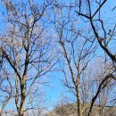 호암늘솔길 화장실 이미지