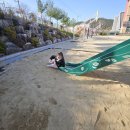 석적초등학교 이미지