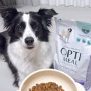 (주)옵티아이 이미지