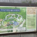 성주 가야산 야생화 식물원 후기