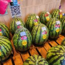 백천지구3 이미지