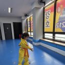 강호 해솔 태권도 이미지