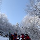 태백산 - 서구 완정로 151 | 태백산