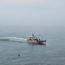 간성집 | 소똥령마을 캠핑/백섬 해상데크 전망대, 화진포 해수욕장(ft. 고성부부횟집, 간성시장 은영이네/내돈내산)