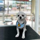 마음이네 멍발소 이미지