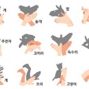 [유아체육] 지각운동 이미지