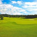 VIP골프존 이미지