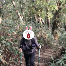 고도석 | [제주도 여행기 4편] 한라산 등반(관음사야영장-삼각봉대피소-백록담-진달래밭대피소-사라오름-성판악...