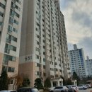 신나무실약국 이미지