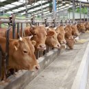 장수축산 이미지