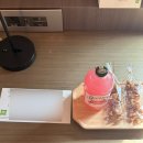 이비스 스타일 앰배서더 강남 | 이비스 스타일 앰배서더 강남 디럭스룸 및 조식 후기