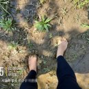 (온라인)요가 | 내 생애 첫 온라인 요가 요가오운 - 온라인명상 아침 6시 체험 후기