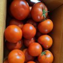 윤민농장 이미지