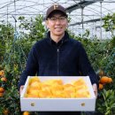 한길농부 농장 이미지