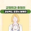 동해면보건지소 | 경상북도 포항시 동해면 교정치과 총정리