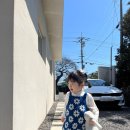 스테이그라피 이미지