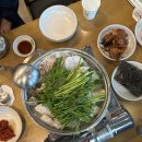 속초 가족여행 맛집 추천 (회덮밥&amp;오징어순대. 생대구탕. 오징어회)