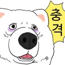 애니멀필드2 이미지