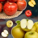 대용농장 이미지