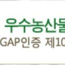 하나태권도장 이미지