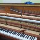 라온나라 이미지