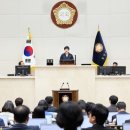 305 데일리안