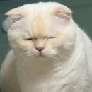 원 피티 이미지