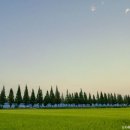 죽동 이미지