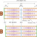 근육 수축muscle contraction , 筋肉收縮 이미지