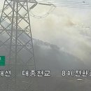 입천리 지저 네이버블로그