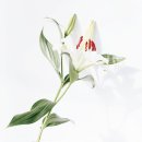 한독병원 이미지