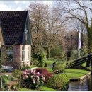 Living Next Door to Alice(옆집에 사는 앨리스)-Smokie(스모키) 이미지