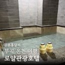 부곡중앙로 | 부곡 온천 여행, 로얄관광호텔 디럭스 트리플룸 온천 가족탕 숙소 후기